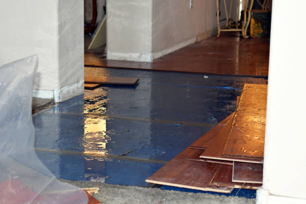 Professional Water Damage Restoration technician working in Sullivan, NH